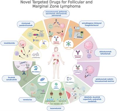 Novel targeted drugs for follicular and marginal zone lymphoma: a comprehensive review